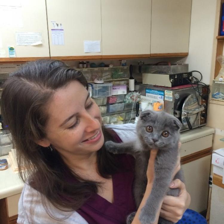 Midtown Animal Hospital New York, NY